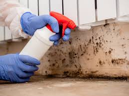 Biohazard Mold Removal in Belle Chasse, LA